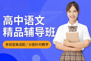 深圳高中语文一对